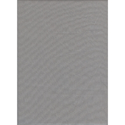 Promaster, Fondale solido Promaster 10'x12' - Grigio